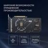 Вид 15